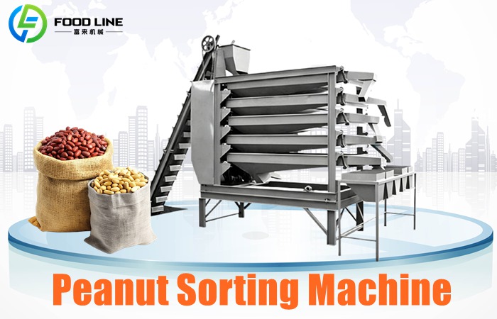 Peanut Sorting Machine
