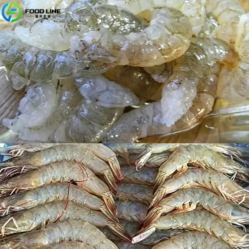 automatic shrimp peeling machines