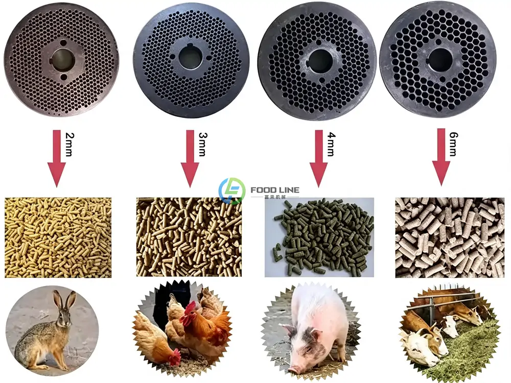 Animal Feed Pellet Making Machine