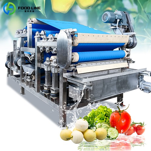 belt press juice extractor