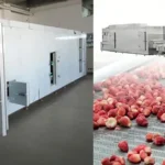 1000kg/h IQF freezing machine for strawberries in Mexico IQF Freezing Machine For Strawberries