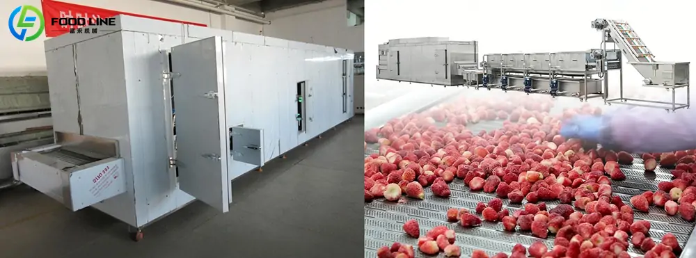 You are currently viewing 1000kg/h IQF freezing machine for strawberries in Mexico