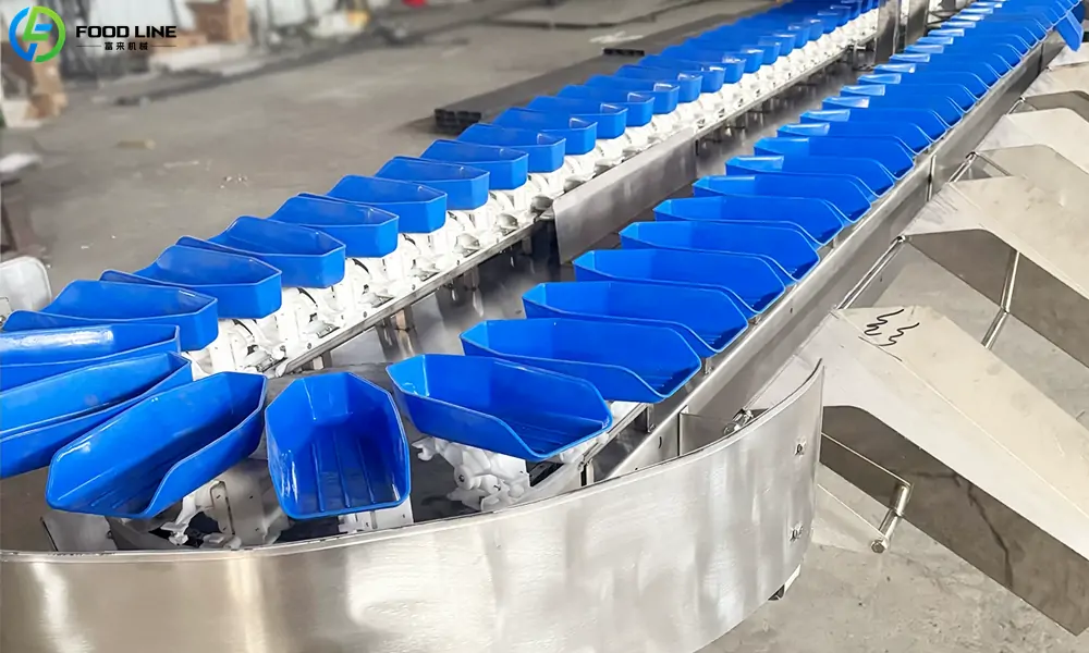 You are currently viewing Oyster Grader For Sale in France
