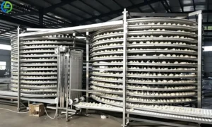 Read more about the article IQF Freezer for Dumplings, Momo & Other Frozen Dough Products