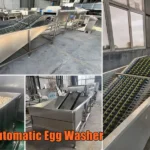 6-Lane Automatic Egg Washer For Sale In Pakistan 6-lane automatic egg washer for sale