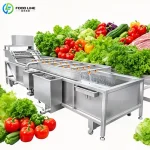 Air Bubble Vegetable Washer