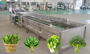 Read more about the article Bubble Washing Machine for Spinach: Gentle and Efficient Leafy Vegetable Cleaning